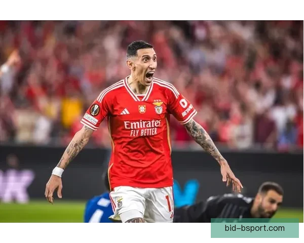 迪马利亚宣布退出阿根廷国家队引发球迷热议与未来展望